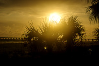 Sun Over Palm Trees Panama City Beach Florida