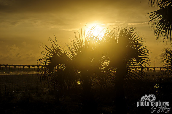 Sun Over Palm Trees Panama City Beach Florida