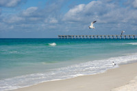 Seagull in Flight Over Morning Blue Waters Pier