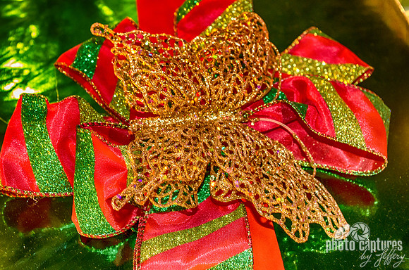 Golden Butterfly On Christmas Present On Tree Nashville TN