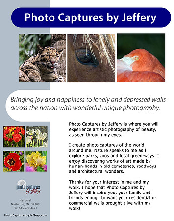 National Flyer