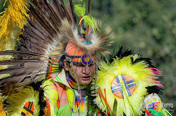 Brightly yellow feathers Fancy Dancer NAIA Powwow