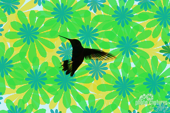 Hummingbird Wings Back against floral background