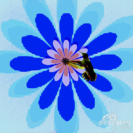 Hummingbird floral blue petals