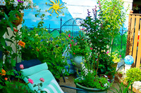 Patio Garden artistic rendering
