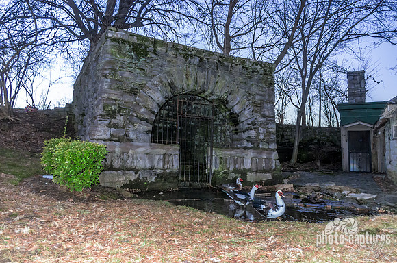 Springhouse With Three Muscovy Ducks In Water Woodlawn Cemetery Nashville TN