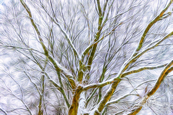 Snow Covered Barren Tree artistic rendering
