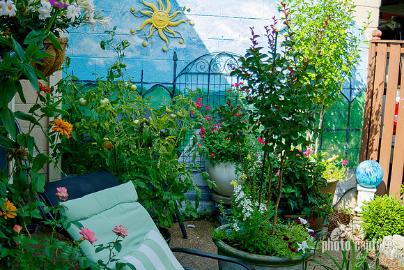 Patio Garden